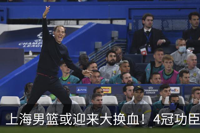 上海男篮或迎来大换血！4冠功臣体面告别？张镇麟将锁定D类合同